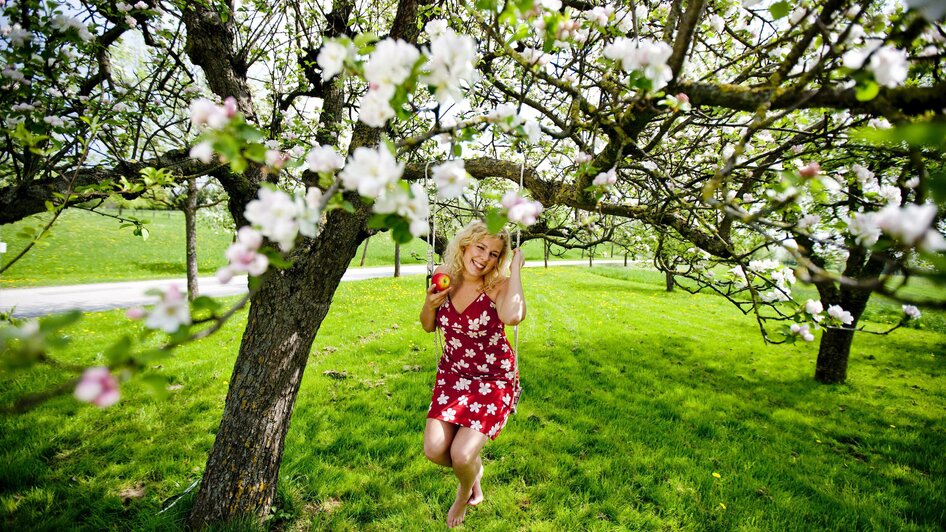ApfelLand_Apfelblüte_Oststeiermark