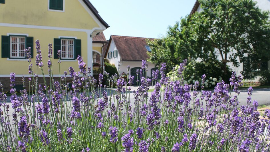 Genusshof Farmer Rabensteiner | © Farmer Rabensteiner