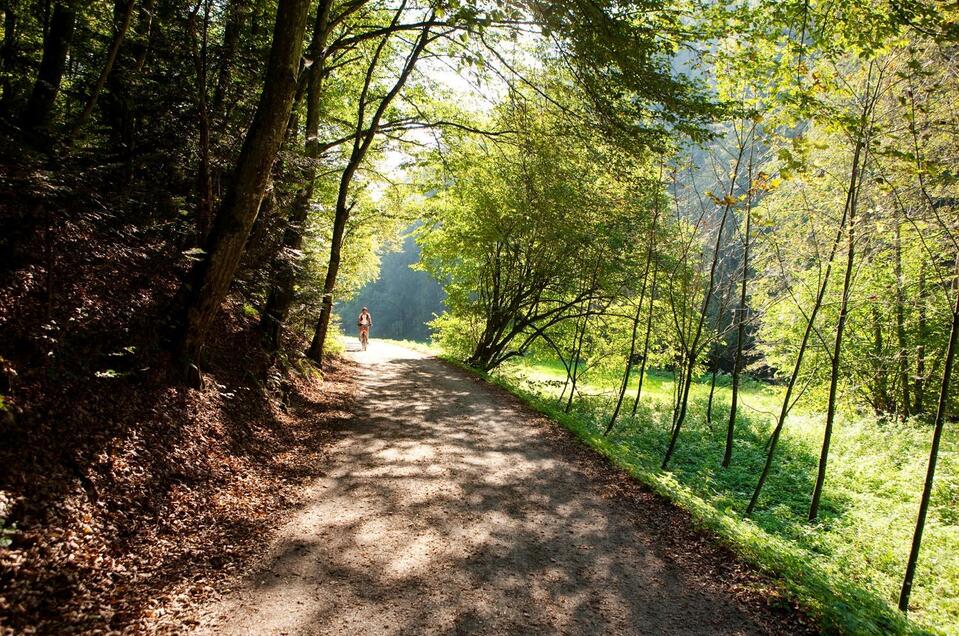 Raabtal Radweg - Impression #1 | © Tourismusverband Oststeiermark