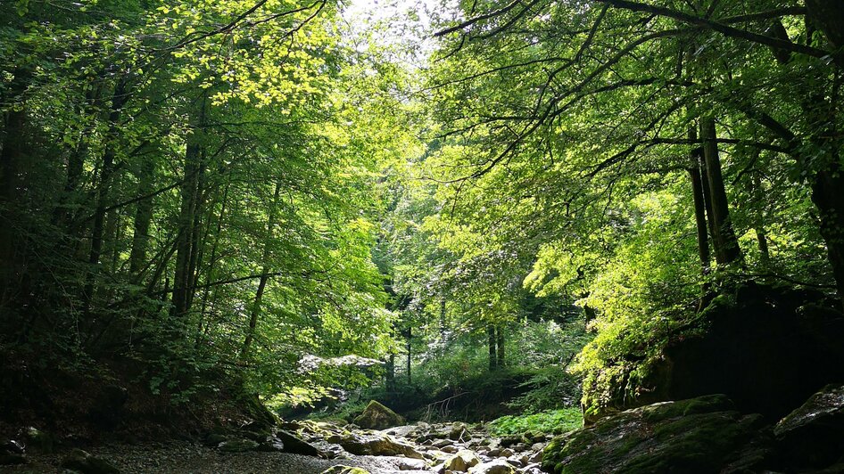 Große Raabklamm_Oststeiermark_Lara Fani | © Tourismusverband Oststeiermark