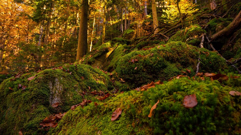 Raabklamm Herbst_Oststeiermark_Erwin Brix | © Tourismusverband Oststeiermark