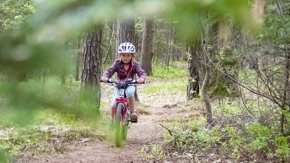 durch den Wald biken 3Eiben Kids Bike Park | © 3Eiben Kids Bike Park