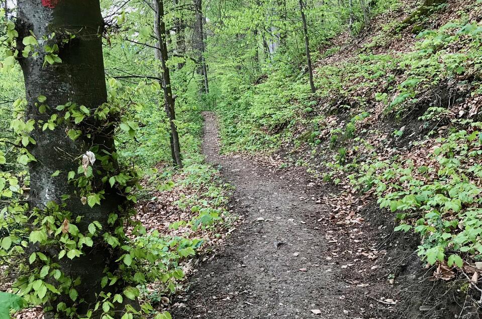 Chapel Heiligenbrunn - Impression #1 | © Sabine Schulz