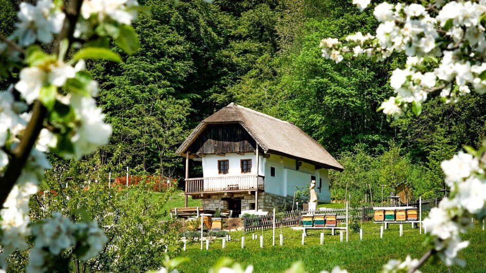 Sandstöckl im Frühling | © Christian Karner