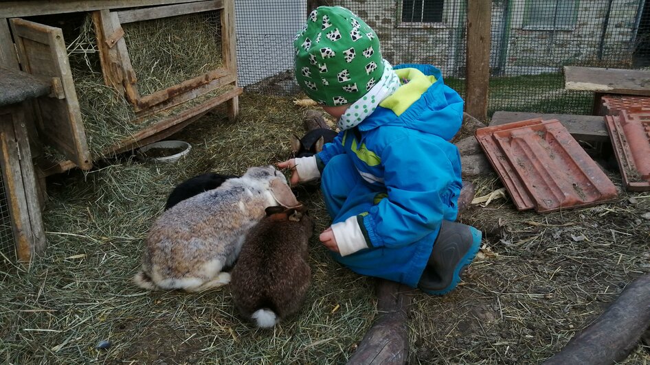 ABCHufis-Hasen-Murtal-Steiermark | © ABC-Hufis