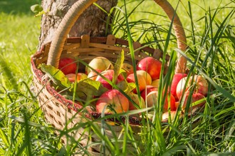 Farm-gate sales_Apple basket_Eastern Styria | © Janksy Ingrid