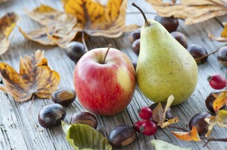 Apfel und Birne | © Helmut Schweighofer