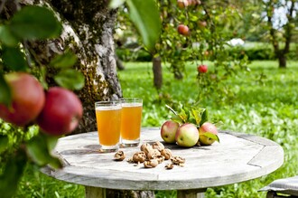 Farm-gate sales_Apple_Eastern Styria | © Steiermark Tourismus