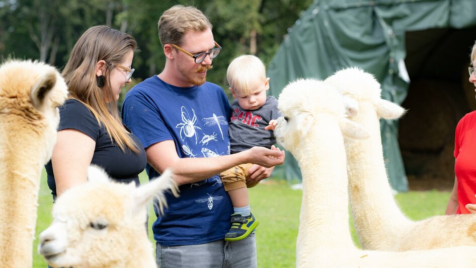 Gemüsehof Radl_Alpaka Familie_Oststeiermark | © Tourismusverband Oststeiermark