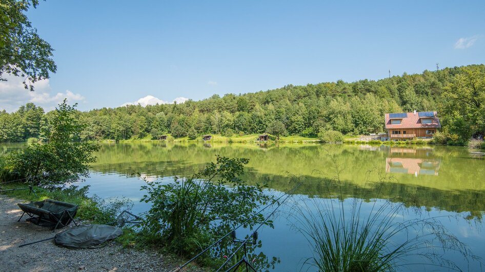 Winzendorfer Teiche_Pöllau_Oststeiermark | © Helmut Schweighofer