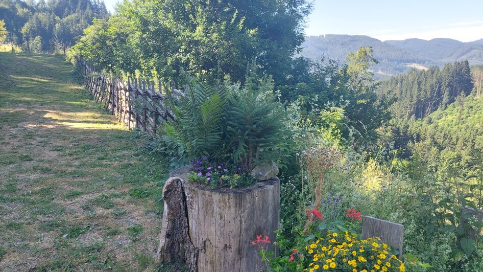 Aussicht mit Blumen im Vordergrund | © Erwin Troger