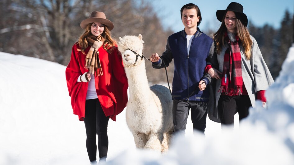 Alpakaland  in Wörschachwald | © dieSonne