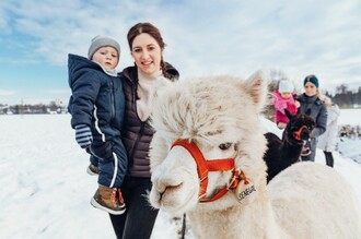 Alpaka Familien Ausflug Südsteiermark | © TV Schilcherland Steiermark