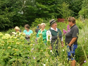 Alpine Herb Garden_Guide_Eastern Styria | © Alpenkräutergarten Käfer