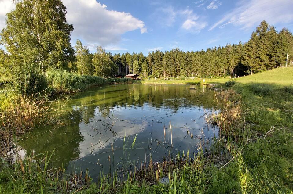 Fishing at the Fischteich Passail - Impression #1 | © Tourismusverband Oststeiermark