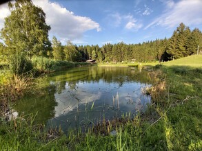 Fischteich Passail_Oststeiermark | © Tourismusverband Oststeiermark