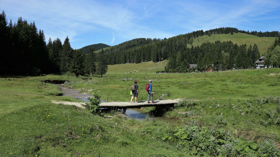 Mixnitzbach_Brücke_Oststeiermark | © Tourismusverband Oststeiermark