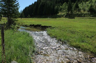 Mixnitzbach_Sommer_Oststeiermark | © Tourismusverband Oststeiermark