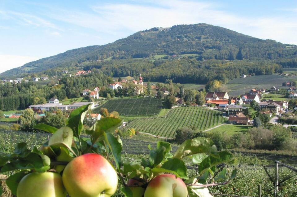 Apfelhof Buchgraber - Impression #1 | © Tourismusverband Oststeiermark