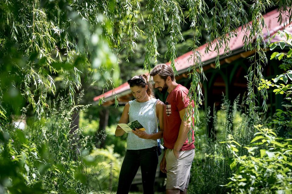 Arboretum and tea house - Impression #1 | © Region Graz - Tom Lamm