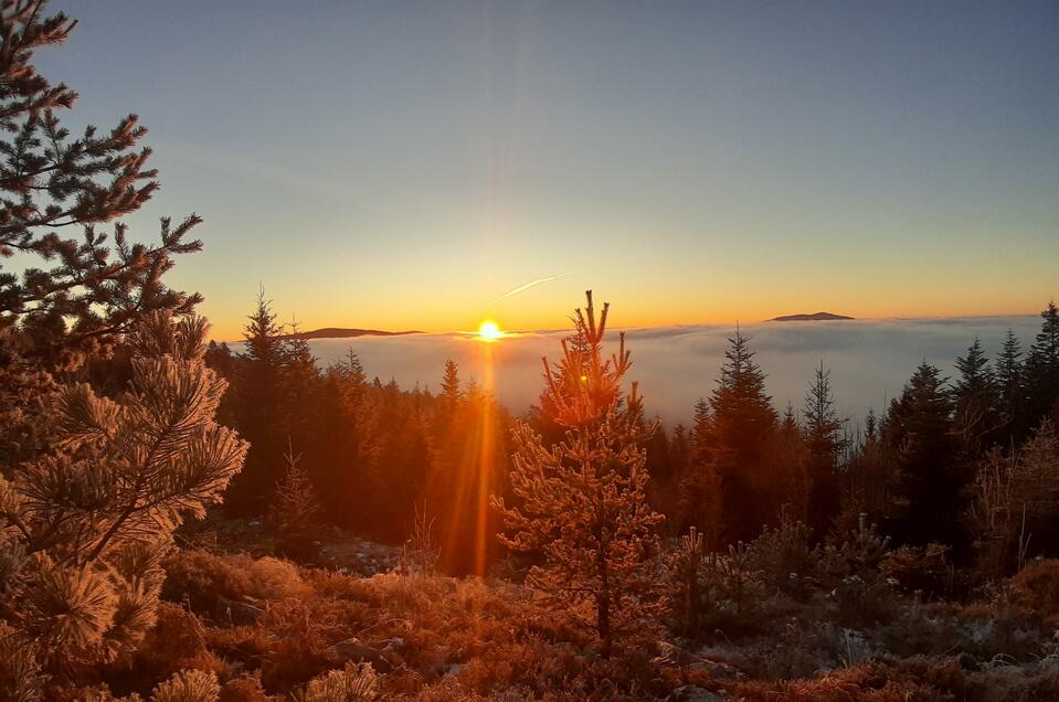 Aussichtsbankerl Reithkogel - Impression #1 | © Eva Reindl