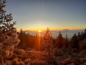 Fischbach_Aussichtsbankl Reithkogel_Oststeiermark | © Eva Reindl