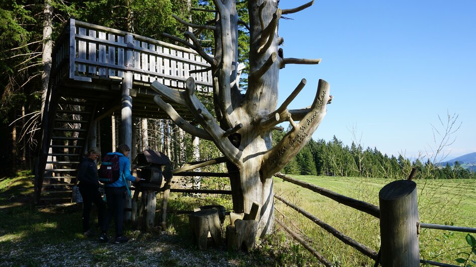 Aussichtsplattform-Ansicht1-Murtal-Steiermark | © Erlebnisregion Murtal