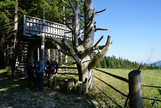 Aussichtsplattform-Ansicht1-Murtal-Steiermark | © Erlebnisregion Murtal