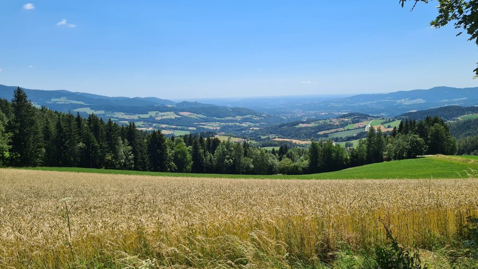 Schloffereck_Aussichtspunkt_Oststeiermark©CS | © Tourismusverband Oststeiermark