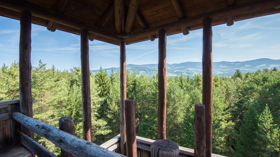 Haidenwald_Blick übers Pöllauer Tal_Oststeiermark | © Helmut Schweighofer