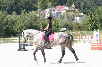 Auf dem Rücken der Pferde | © Kurkommission Bad Blumau