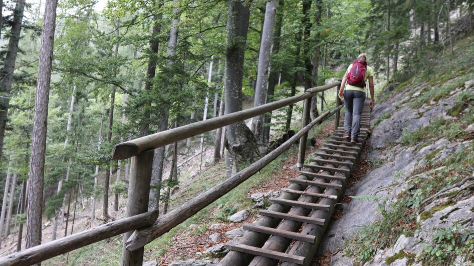 Bärenschützklamm_Leiter_WEGES | © WEGES