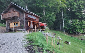 Bärnmoos, Bad Aussee, Jausenhütte | © TVB Ausseerland Salzkammergut/Petra Kirchschlager