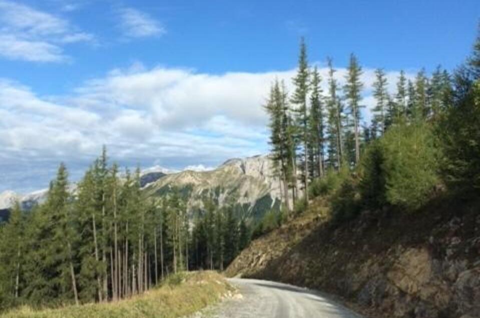Die Bürgeralm Panoramastraße | TV Hochschwab Bürgeralm Panoramastraße - Impression #1