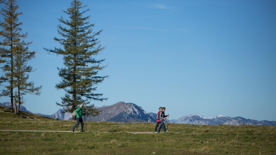 Auf der Bürgeralm 1550 m Seehöhe | Naturerlebnis Bürgeralm /  Klaus Morgenstern Auf der Bürgeralm 1550 m Seehöhe