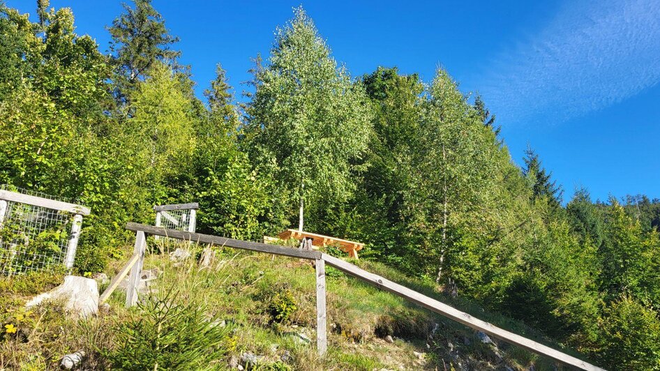 Bürgermeisterbankerl,Bad Aussee, Aufgang | © TVB Ausseerland Salzkammergut_Petra Kirchschlager