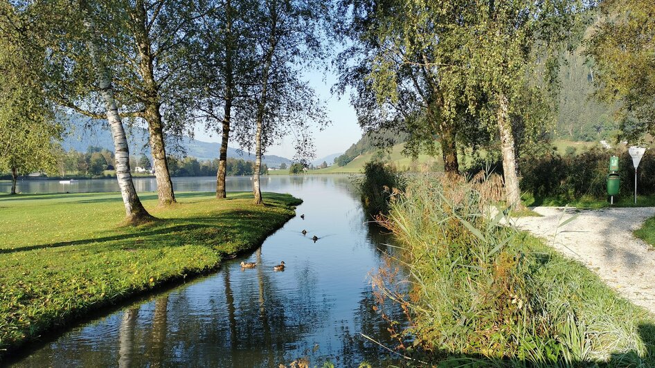 Ostufer Putterersee | © Landentwicklung Steiermark Ostufer Putterersee | © Landentwicklung Steiermark