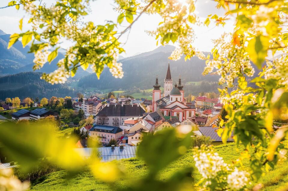 Basilika Mariazell - Impression #1 | © TV Hochsteiermark