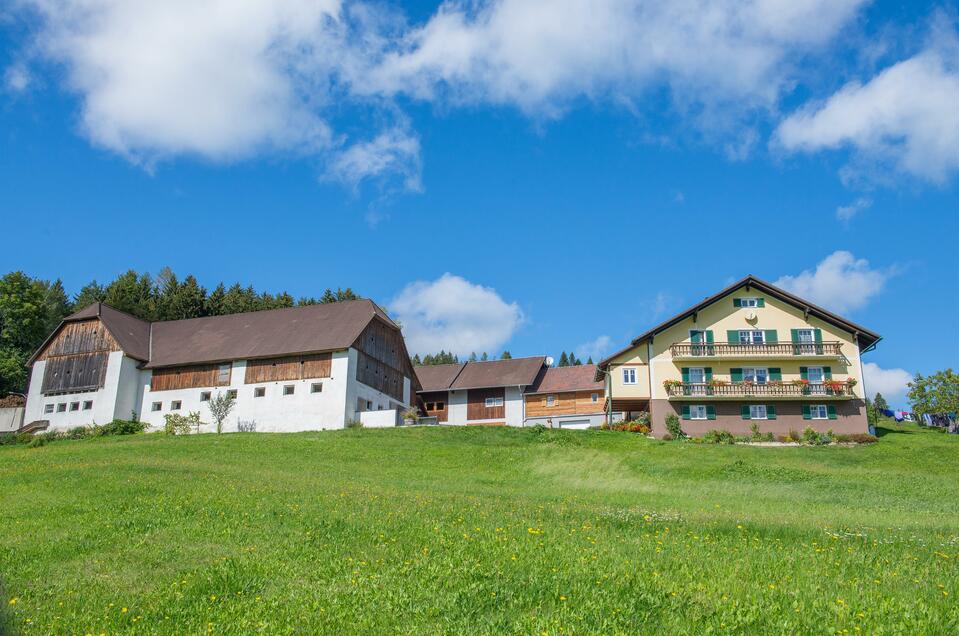 Farm Hipfl - Impression #1 | © Helmut Schweighofer