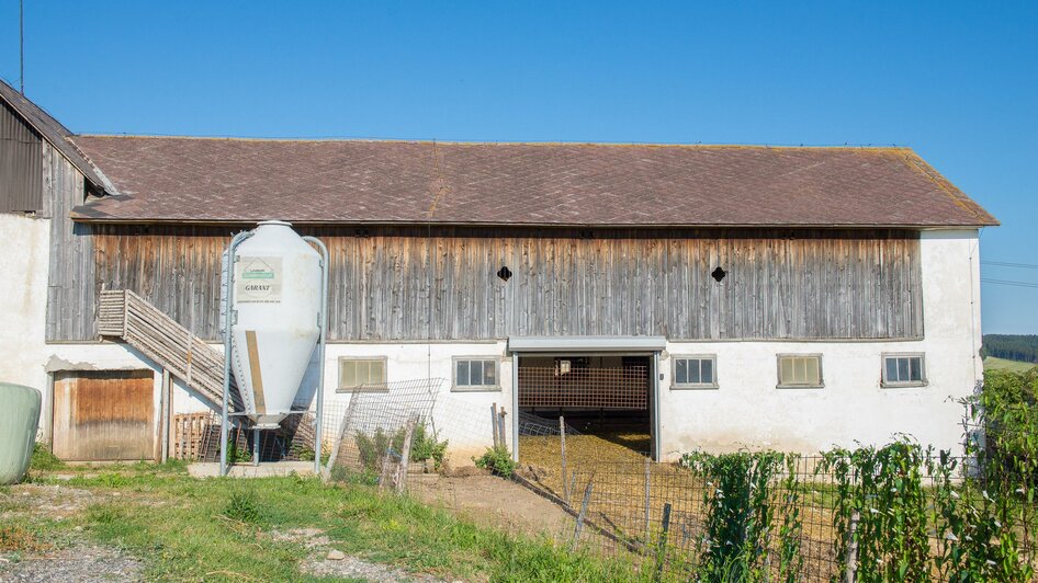 BH Schweighofer_Bauernhof_Oststeiermark | © Helmut Schweighofer