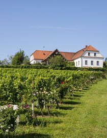Bergstadl Leitersdorfberg Aussenansicht | © Bergmann | Bergstadl Fam. Pichler | © Bergmann
