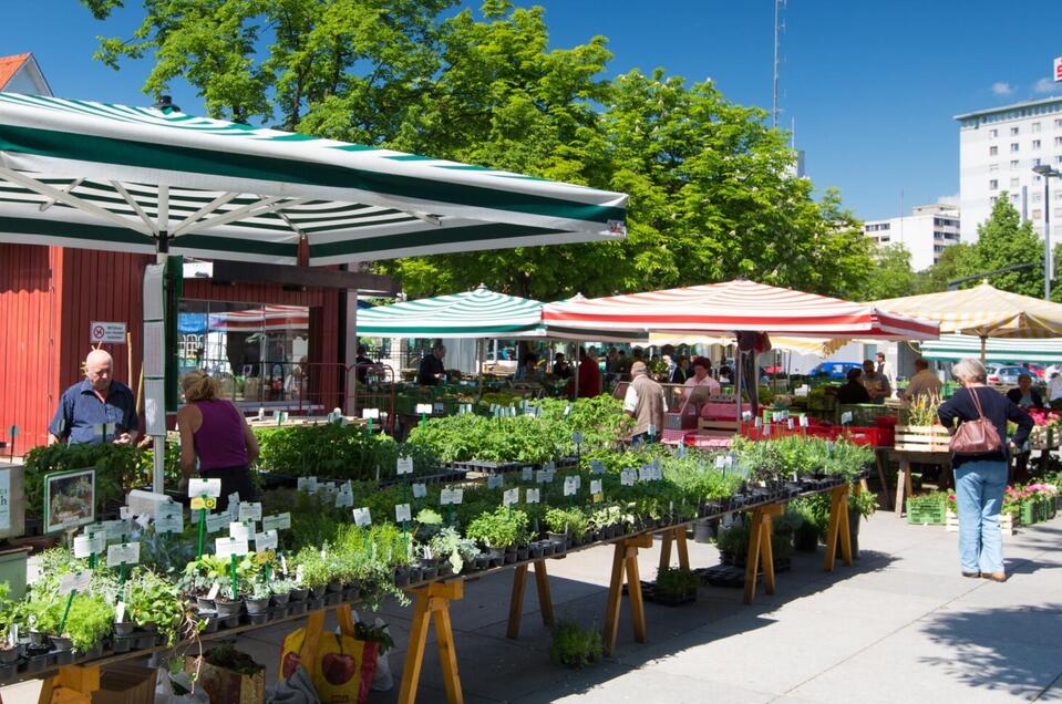 Bauernmarkt am Lendplatz - Impression #1 | © Graz Tourismus - Harry Schiffer