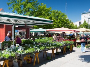 Bauernmarkt am Lendplatz | © Graz Tourismus - Harry Schiffer
