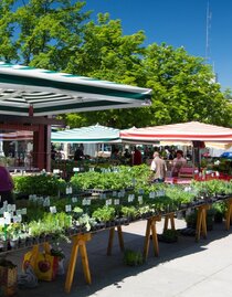 Bauernmarkt am Lendplatz | © Graz Tourismus - Harry Schiffer | © Graz Tourismus - Harry Schiffer