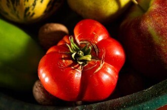 Sujetfoto Bauernmarkt | © Thermen- & Vulkanland