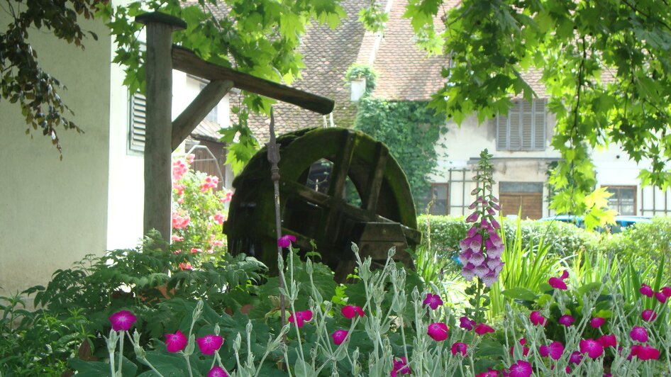 Hofgarten | © Berghofer Mühle GmbH