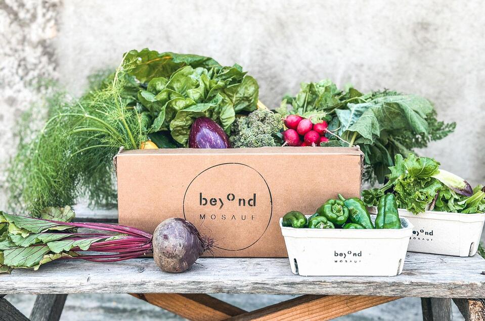 BeyondMosauf-Box-Murtal-Steiermark | Beyond Mosauf | © Beyond Mosauf Beyond Mosauf - Impression #1 | © Beyond Mosauf