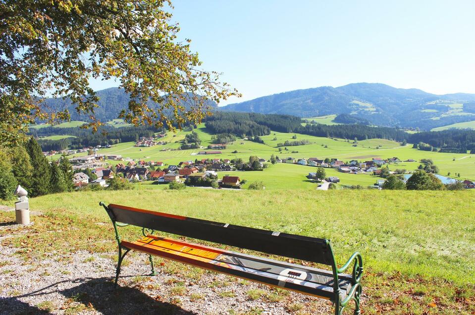 Bee and Forest educational trail Passail - Impression #1 | © Tourismusverband Oststeiermark