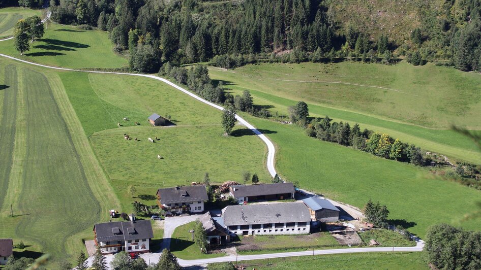 Bio Bauernhof Braun - Impression #2.2