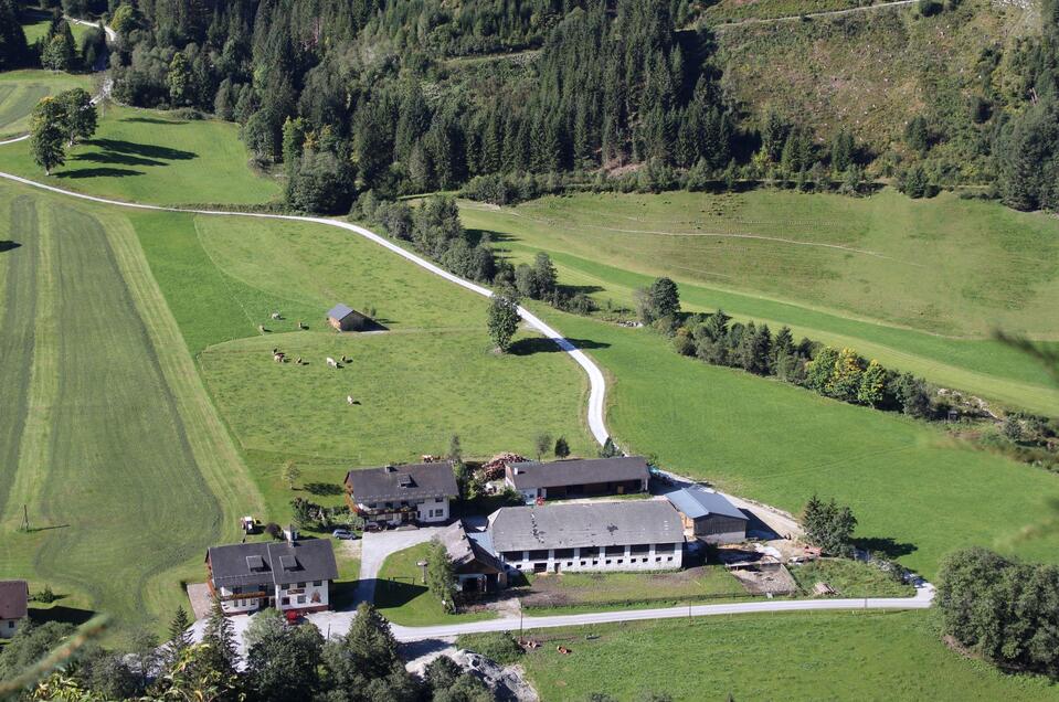 Bio Bauernhof Braun - Impression #1